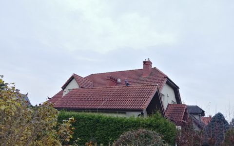 IMG_20211102_094907